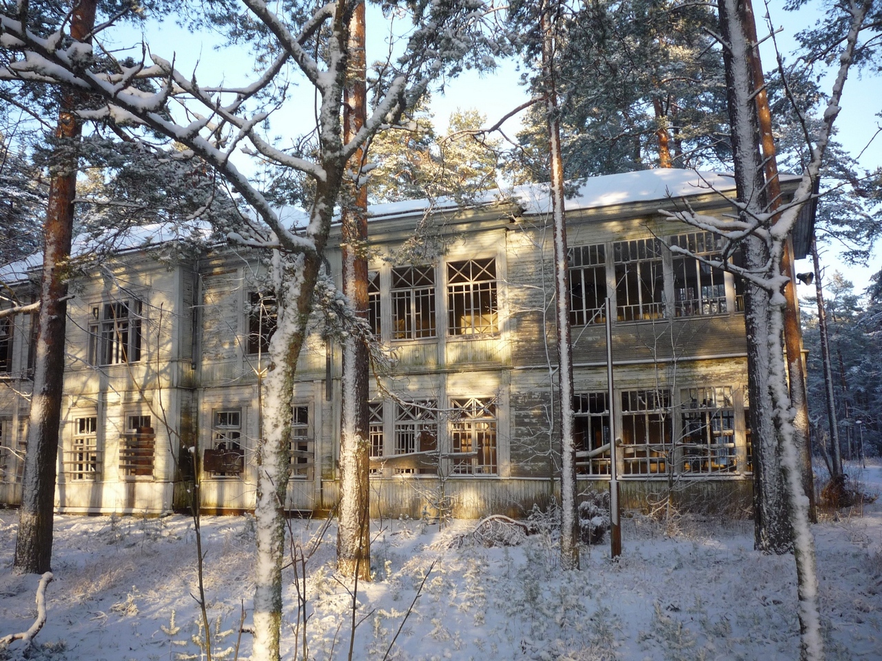 новгородская хвойная санаторий