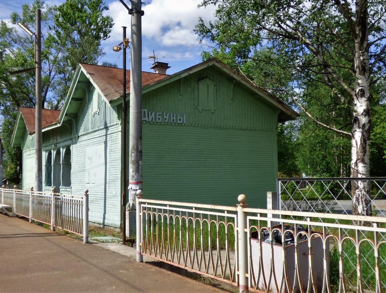 Старинные фото станции Дибуны разных лет. Поезда,История,Архитектура