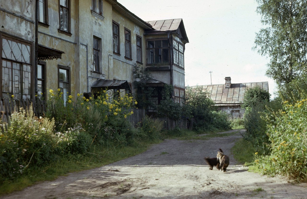 улица горная санкт петербург