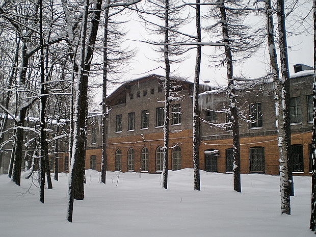 Лесная академия михалков картинки