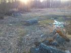 английский дворец в петергофе история